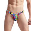 Bikini Thong Underwear Breathable Lingerie Low Waist Mens