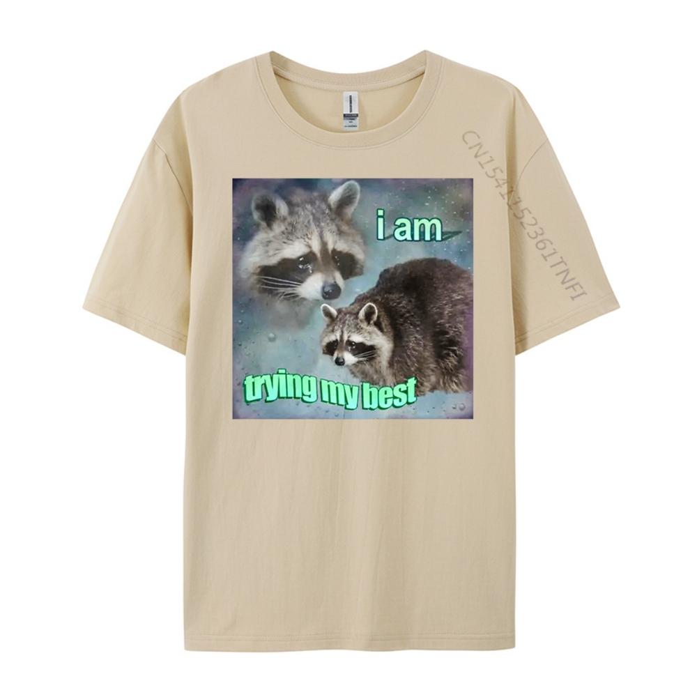 Raccoon I Am Trying My Best Sad Unisexs Korean Fashion Unisex Oversized T Shirt