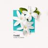 Eau De Parfum - Solinotes - TIARE - 50ml - Floral - Notes of Coconut and Peach
