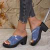 Foreign trade large size cool slippers women's 2025 summer new European and American fashion slope heel classic denim women's cool slippers