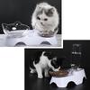 WTEMPO Cat and Dog Eating Bowls Pet Eating Basins Household Pet Supplies Neck Protection Water Dispensers