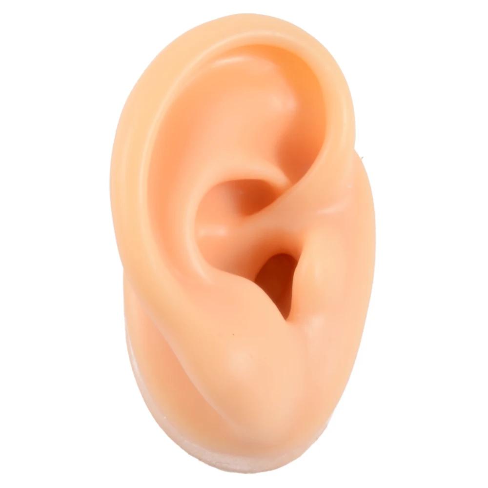 Acrylic Earring Display Stand with Soft Silicone Ear Model Jewelry Display and Storage