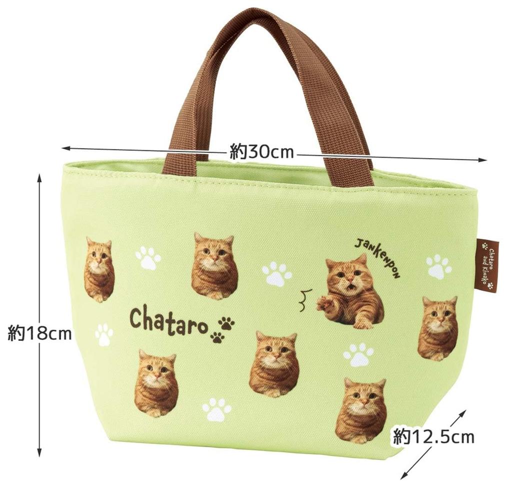 Skater Canvas Lunch Bag, Lunch Tote Bag with Zipper, Bento Bag, Chataro and Kinako Designs, YEB5-A