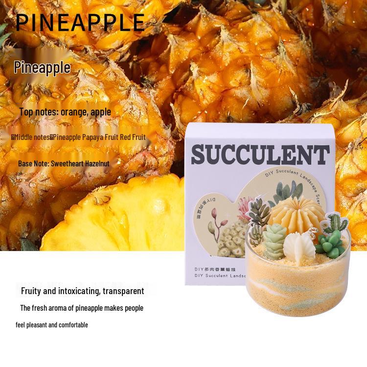 DIY Succulent Fragrance Candle & Cactus Sand Art: Handmade Wedding Souvenir Gift for Her
