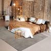 Contemporary Beige Rug 160x240