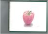 Maruman Sketchbook F4 Vif-Art Watercolor Paper, Medium Grain, 15 Sheets, S24VA