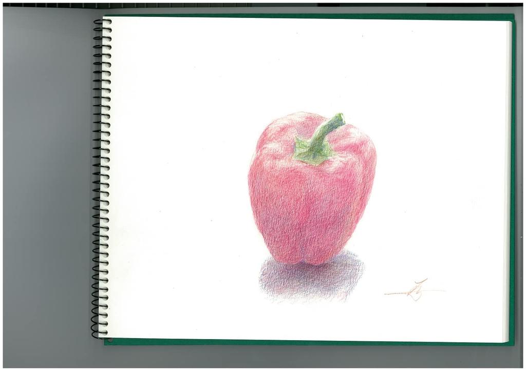 Maruman Sketchbook F4 Vif-Art Watercolor Paper, Medium Grain, 15 Sheets, S24VA