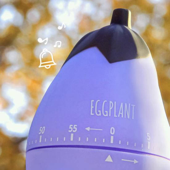 Timer Vegetable Fruit Shaped Mechanical ABS Creative Cooking Time Reminder for Home