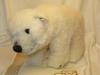 Steiff World Limited Knut the Polar Bear 2007 Edition "Masterpiece Alpaca"