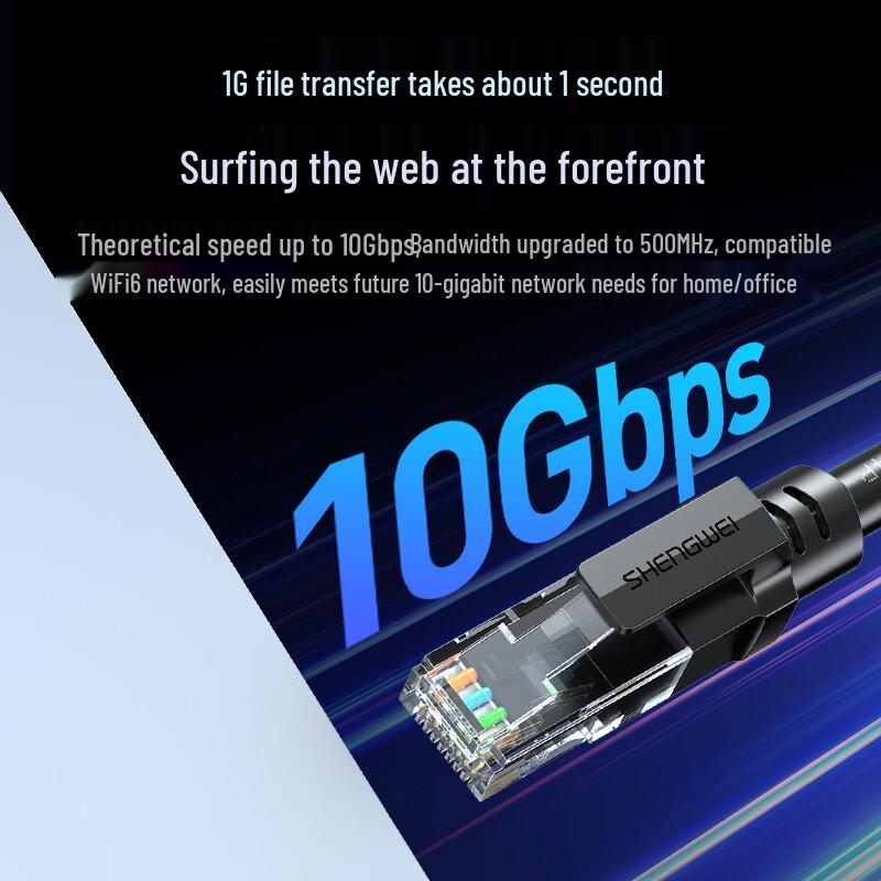 Shengwei Cat6A 10 Gigabit Ethernet Cable