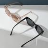 2PCS Cat Eye Fashion Women Sunglasses Daily Holiday Beach Decorative Glasses