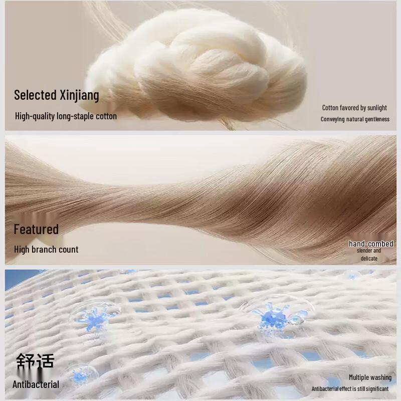 MaoRen Men's Alginic Acid 10A Antibacterial Cotton Boxer Briefs Multi-Pack