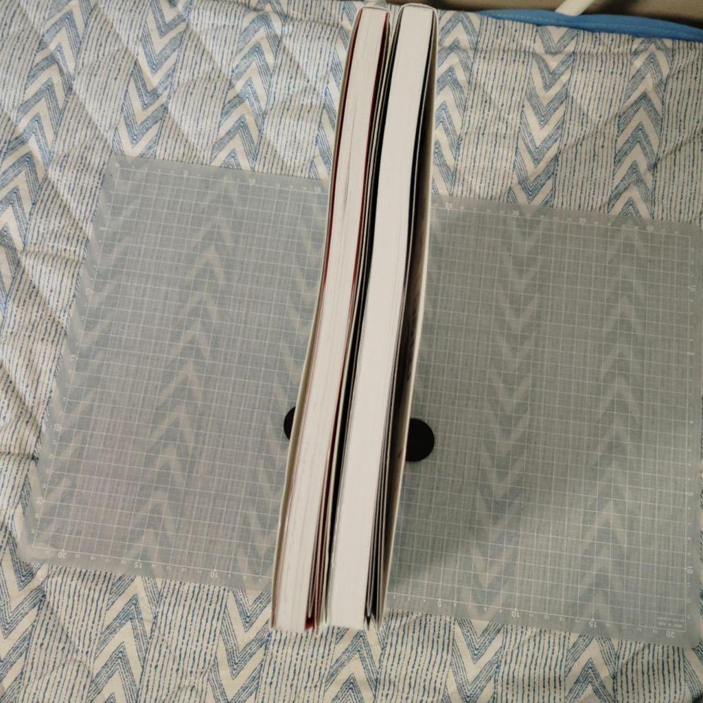 [USED] Twelve Kingdoms Art Book Set of 2