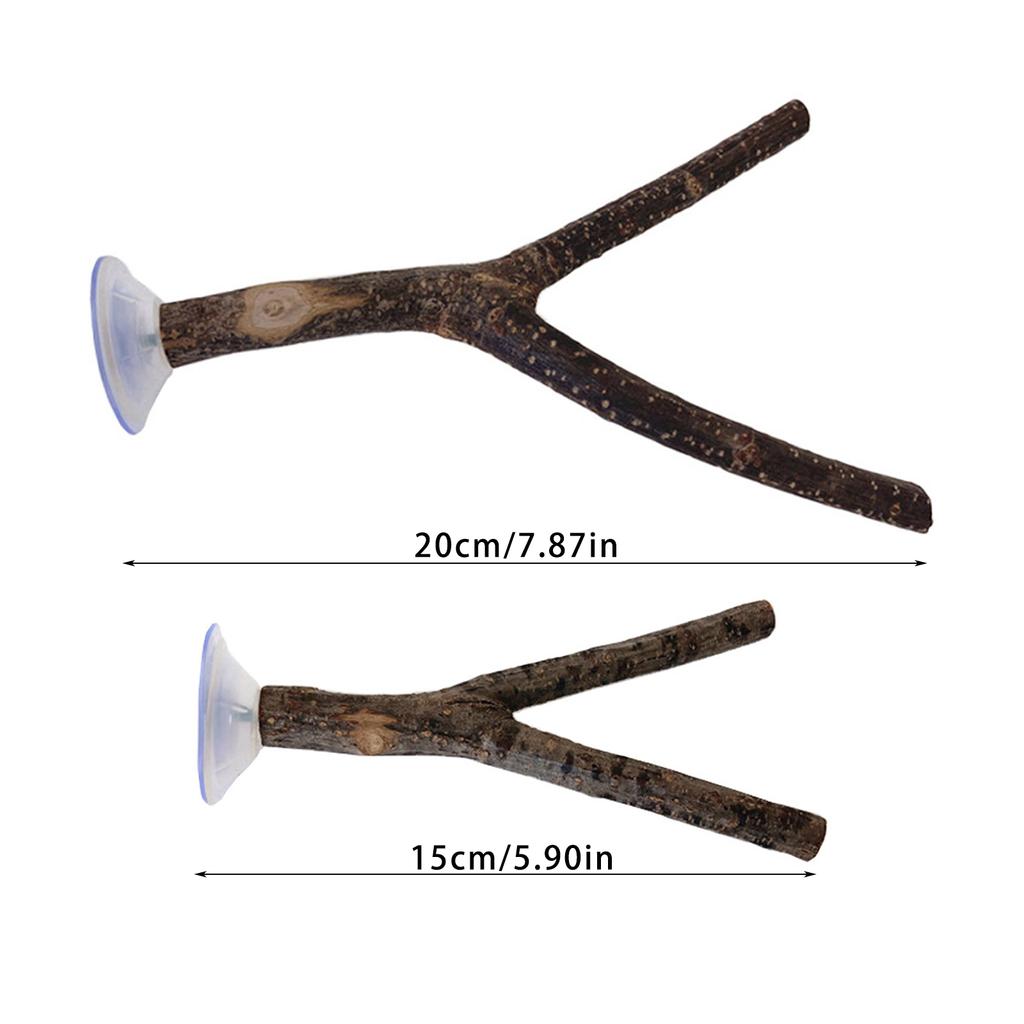 3pcs Parrots Stand Pole Adjustable Parrot Stand Interactively Bird Playing Toy for Outdoor Traveling Parrot Play Stand