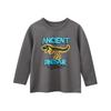 27Kids Korean Style Cartoon Dinosaur Long Sleeve T-Shirt for Boys - Children's Base Layer Baby Clothes