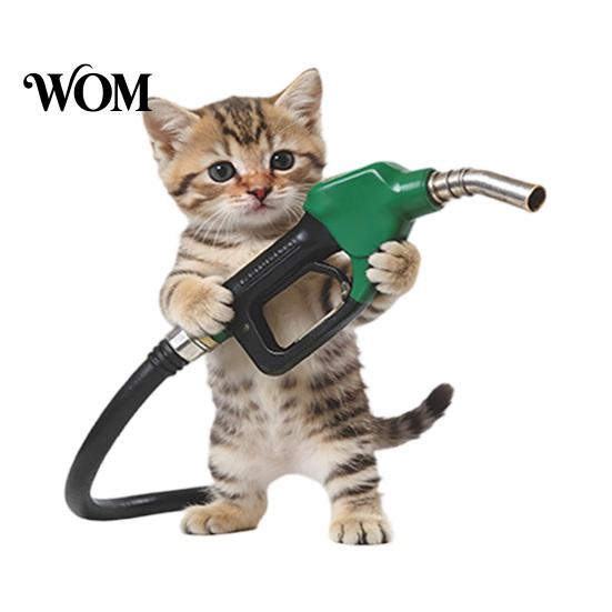 Car Fuel Cap Sticker Fun Sticker, Cute Dog Cat Mouse Animal Waterproof Self Adhesive Decal for Cars Windows Tailgate