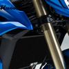 For Suzuki GSX-S750Z 2018-2026 GSR750 ABS GSR750 Non-ABS 2010-2017 Motorcycle Radiator Grille Guard Protector Cover Radiator