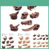 Realistic Prehistoric Mammal Dinosaur Fossil Models For Kids Imaginative Learning