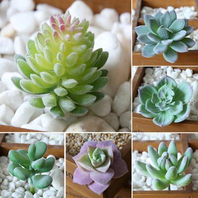 1Pc Plastic Fake Artificial Succulents Plant Bonsai Garden Home Office Decor