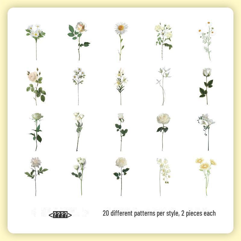 

Набор наклеек «Ретро Природа Юэчжэнь»: Цветы и бабочки для детских справочников