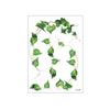 5 Vel Waterdichte Klimop Stickers Tattoo Stickers Elf Fee Make-up Stickers Nek Schouder Arm