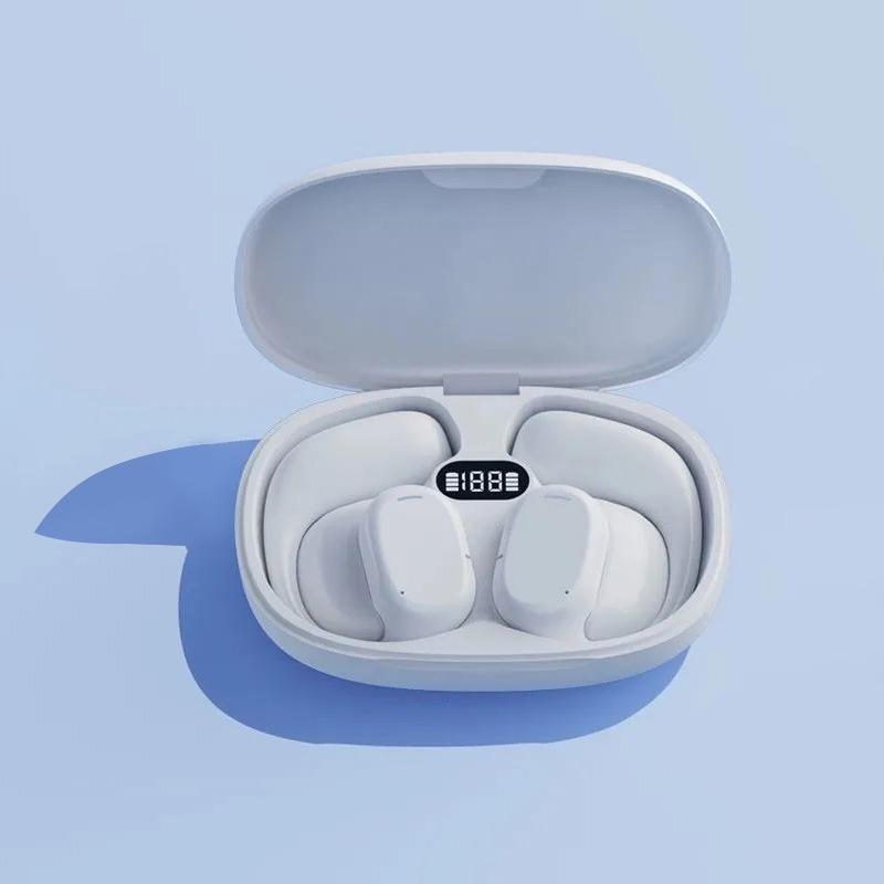 Language Translator Earbuds Multifunction Noise Reduction 144 Kinds Languages Real Time Translation Headphone Translator Earbuds