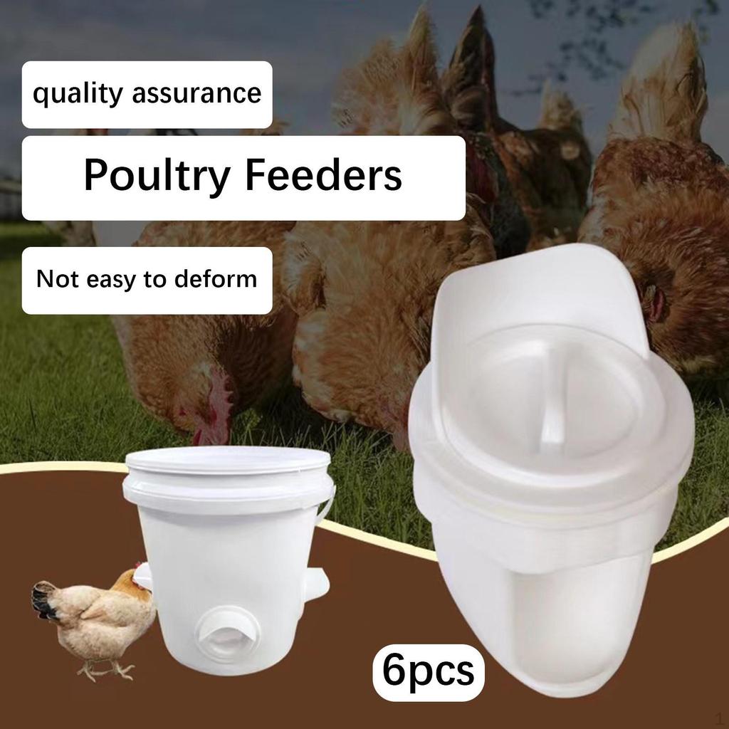 6 Pieces Chicken Feeder Port Professional Premium DIY for Duck Buckets Quail