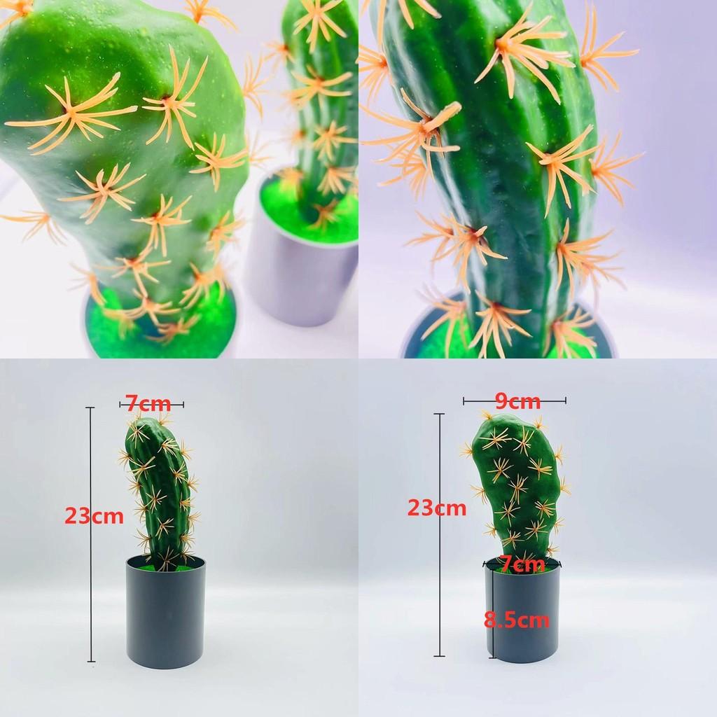 Artificial Cactus Plant Decor With Realistic Plastic Flowers For Home Office Lounge