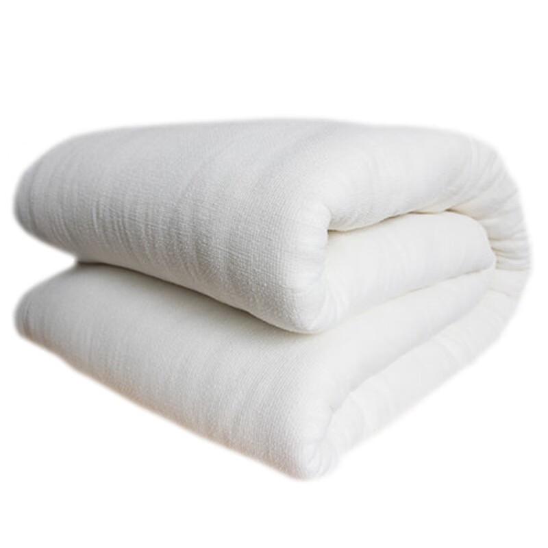 Thickened Xinjiang Cotton Blend Mattress Pad