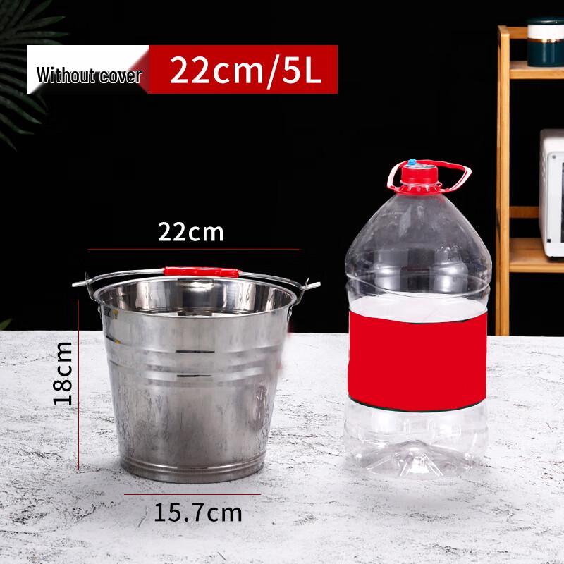 Homeglen Portable Stainless Steel Multi-purpose Bucket 5L, 22cm