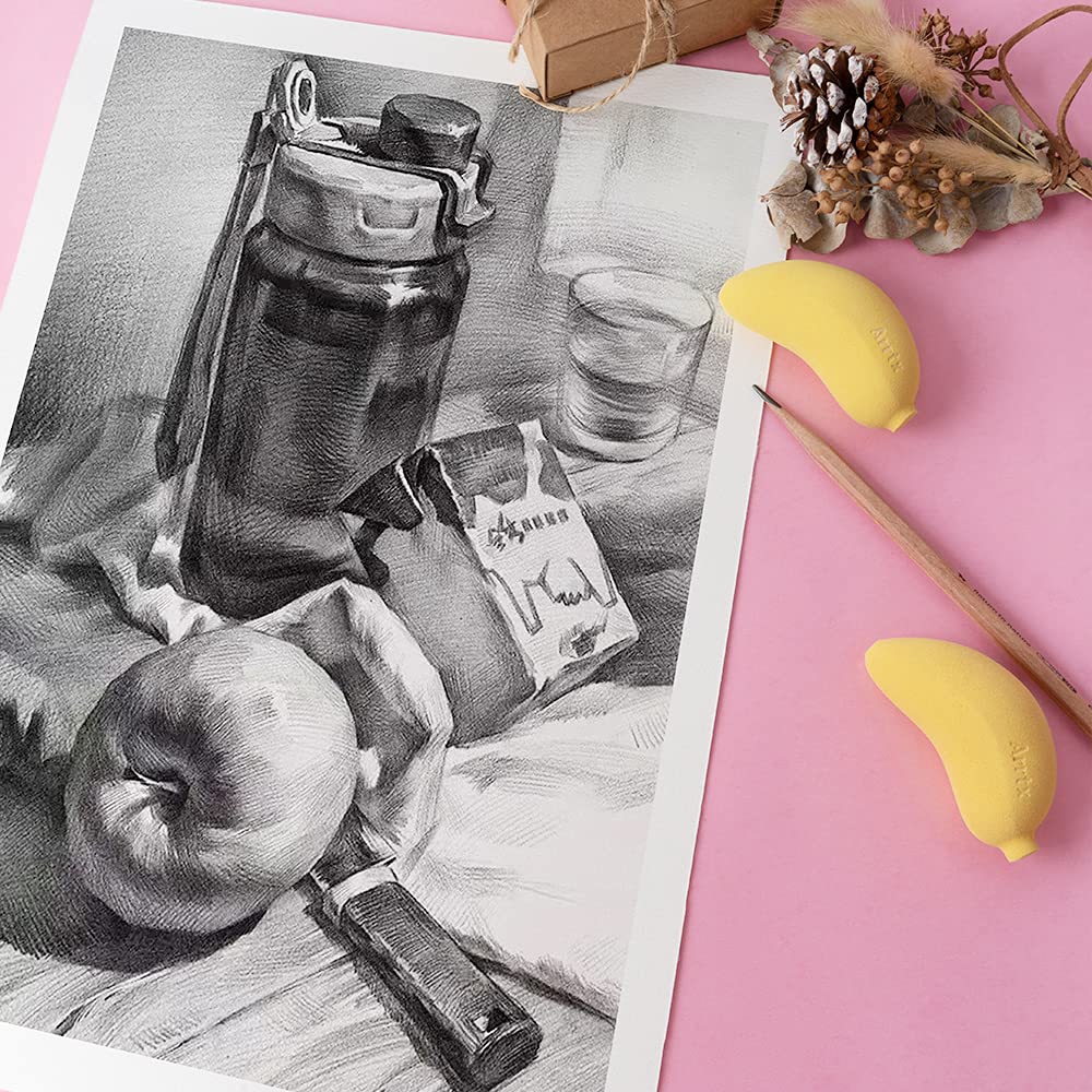 Professional Sketching Drawing Art Tool Kit with Graphite Charcoal Paper Erasable and Craft Knife Includes Canvas Rolling 29-Piece & Pencils, Pencils,