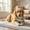Plush Bird Dog Toy Spiky Rubber Ring Stuffed Bird Dog Chew Toy Rope Knot Interactive Tug-of-War Toy for Teeth Cleaning Small Medium Dogs