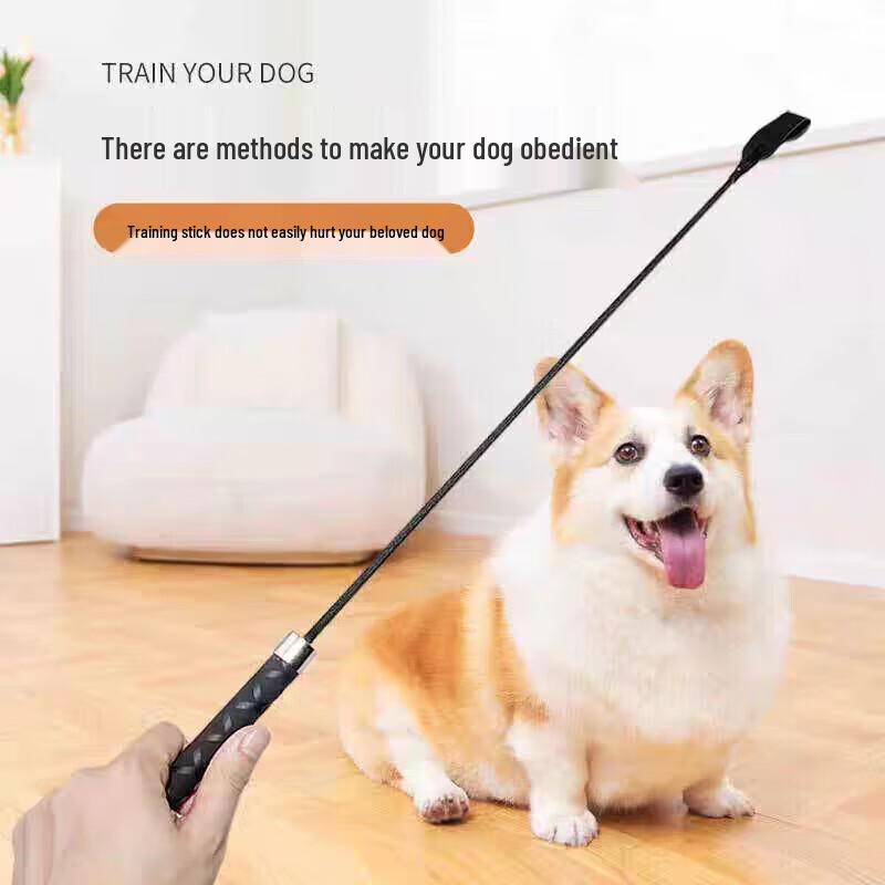Professionelle Hundeausbildung & Agility-Ausrüstung