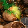 1/4pcs 3D Lifelike Eyes Transparent Fish Mask Articulated Fish Streamers Fly Artificial Bait Fish Pike Muskie Bass Trout Fishing