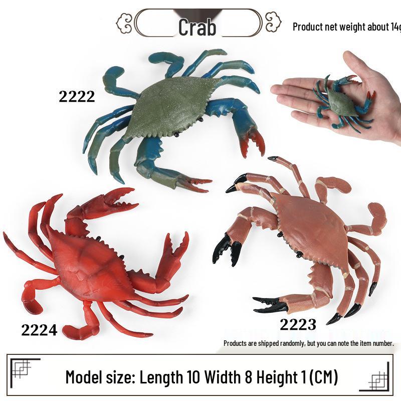 Ocean Crab Simulation Toy Set: Includes Hermit, Swimming, and Three-Spot Plastic Models