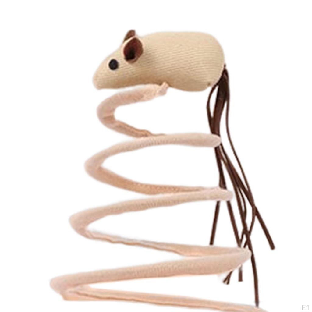 Funny Spring Toy Scratch Teaser Toys for Kitty Indoor Kitten Training Playing