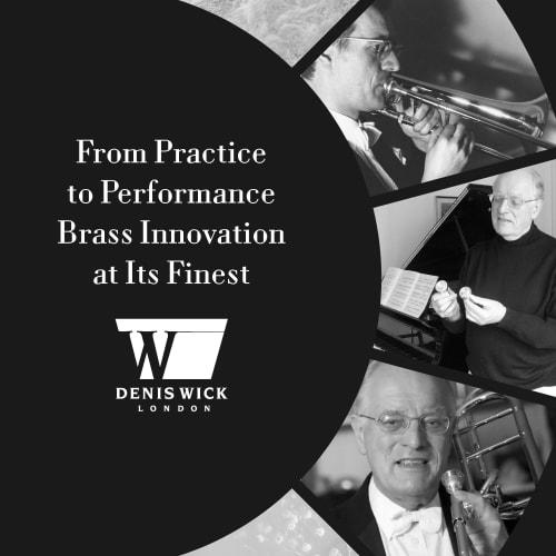 Denis Wick DW5575 Synthetic Trumpet Cup Mute