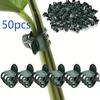 50pcs Plastic Garden Plant Clip For Phalaenopsis Graft Orchid Stem Dark Green Vine Support Clips Gardening Accessories