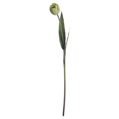 Artificial Green Tulip Plant