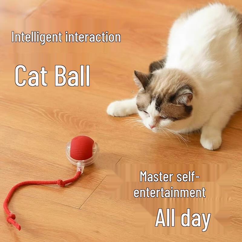 Qio Smart Electric Pet Teasing Ball (2-Pack)
