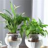 Self-Watering Round Hydroponic Vase