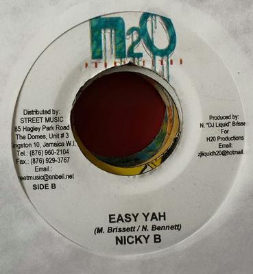 7inch Record MR. EASY, NICKY B - Idiot / Easy Yah NONE H2O Productions Jamaica Reggae, Ska & Dub Used