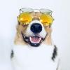 Round Reflection Decoration Lovely For Small Dog Cat Pet Glasses Eye Wear Photos Props Sunglasses