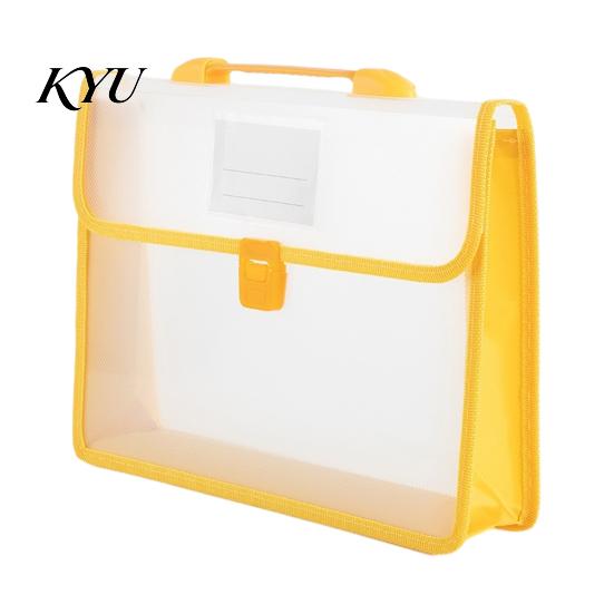 Travel Document Carrier Organizer with Handle And Buckle Closure, Expandable Waterproof File Bag, Portable Office Keeper 800 Sheets Capacity