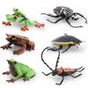 Simulated Insect Model, Liriodendron Beetle, Beetle, Triangular Dead-Leaf Frog, Reptile, Desktop Toy