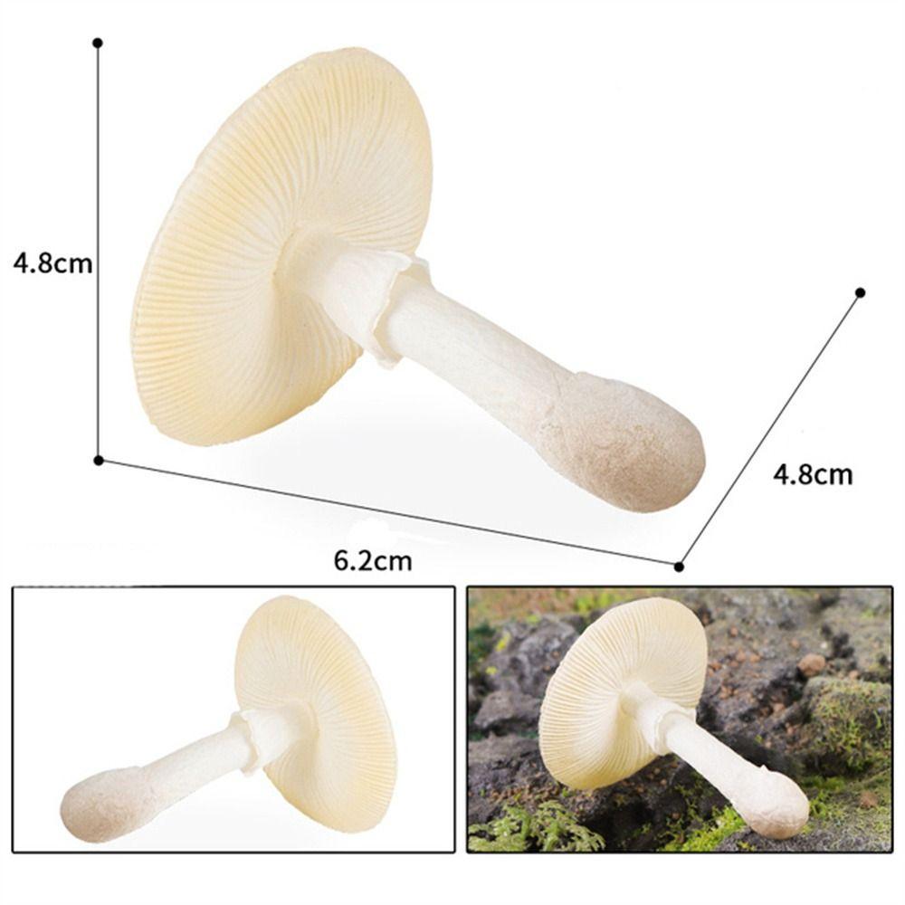 Vegetable Model Simulation Mushroom Landscape Miniatures Fungus Model Home Decoration