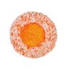 Handle Long Round Wall Cleaning Mop Dry And Wet Ceiling Cleaning Wiper For Home