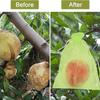 100/10PCS Fruit Insect-proof Gauze Bags Fruit Netting Cover Drawstring Mesh Bags Protect Fruit Vegetable From Birds and Insect