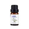 Lavender, Tea Tree, Rose, Sweet Orange & Rosemary Essential Oil for Face Massage & Aromatherapy