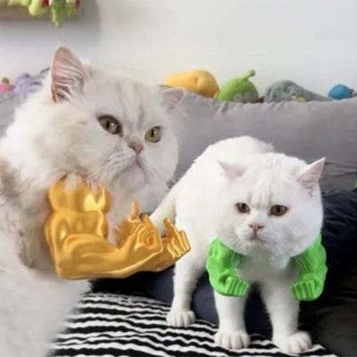 Kedi Kas Kol Kostümü 3D Baskılı Evcil Hayvan Aksesuarları Asılı Kol Komik Süper Kahraman Cosplay Aksesuarı Doğum Günü Partisi için